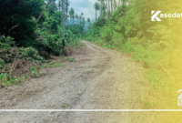 Akses jalan dari desa pelita jaya menuju desa waisakai, kecamatan mangoli utara timur || Karno pora