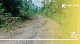 Akses jalan dari desa pelita jaya menuju desa waisakai, kecamatan mangoli utara timur || Karno pora
