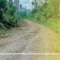 Akses jalan dari desa pelita jaya menuju desa waisakai, kecamatan mangoli utara timur || Karno pora