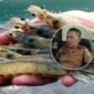 Foto : Ilustrasi udang vaname/kepala DKP Halbar || Iin Afriyanti