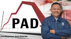 Ilustrasi PAD/Anggota Komisi II DPRD Kota Ternate, Ade Rahmat Lamadihami || Dok : kasedata.id/haerun hamid