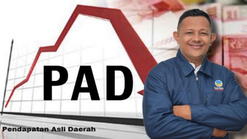 Ilustrasi PAD/Anggota Komisi II DPRD Kota Ternate, Ade Rahmat Lamadihami || Dok : kasedata.id/haerun hamid
