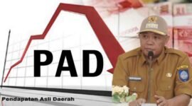 Gambar ilustrasi PAD/Wakil Wali Kota Ternate Nasri Abubakar || Dok : kasedata.id