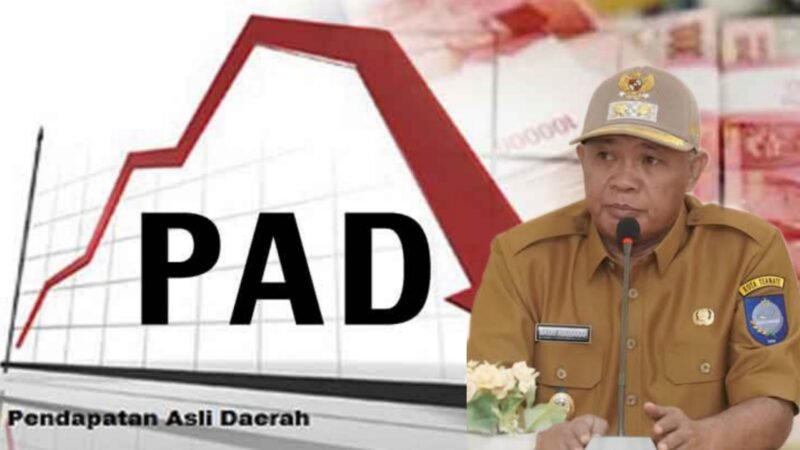 Gambar ilustrasi PAD/Wakil Wali Kota Ternate Nasri Abubakar || Dok : kasedata.id