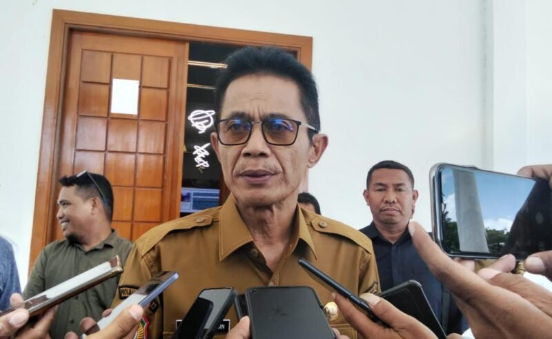 Wakil Bupati Halmahera Selatan, Helmi Umar Muchsin. || Doc : Ridal