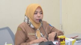 Kepala Dinas Kesehatan Kota Ternate, dr. Fathiyah Suma || dok : kasedata