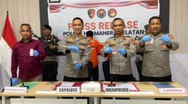 Konferensi pers terkait dua pengedar narkotika jenis ganja di wilayah Pulau Bacan || Foto : Ridal_kasedata