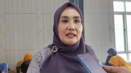 Kepala Dinas Kesehatan Kabupaten Halmahera Selatan, Asila Hasyim || Foto : Ridal_kasedata