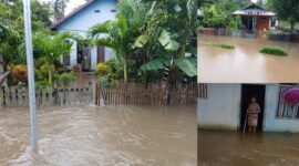 Banjir yang merendam sejumlah rumah warga di Desa Naflo, Kecamatan Mangoli Timur, Kabupaten Kepulauan Sula, pada Minggu (18/05/2025) || Foto : karno_kasedata