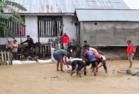 Desa Nahi, Kecamatan Sulabesi Barat, pasca dilanda banjir || dok : karno_kassdata