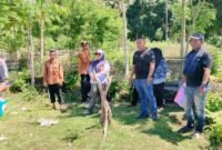 Lokasi pembangunan Pustu di Desa Paslal, Kecamatan Mangoli Tengah || Foto : karno_kasedata