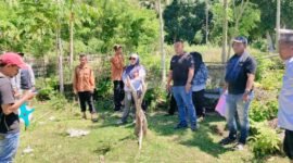 Lokasi pembangunan Pustu di Desa Paslal, Kecamatan Mangoli Tengah || Foto : karno_kasedata