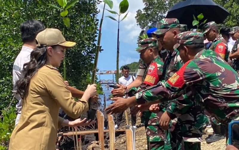 Gubernur Maluku Utara, Sherly Tjoanda saat menghadiri aksi penanaman sejuta pohon mangrove.