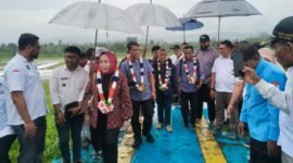Penyambutan Ketua Umum DPP APDESI Surta Wijaya, beserta rombongan di Bandara Oesman Sadik Labuha || Foto : Ridal_kasedata