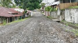 Proyek jalan di Pulau Makeang || dok : ridal_kasedata