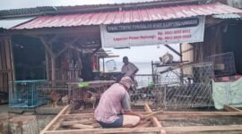 Lokasi pedagang ayam kampung di pasar Gamalama Ternate || Foto : Sukarsi_kasedata