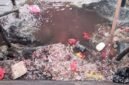 Limbah ikan dan daging sapi saat dibuang ke laut [Foto : sukarsi/kasedata]