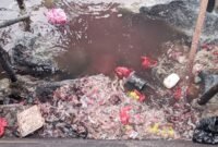 Limbah ikan dan daging sapi saat dibuang ke laut [Foto : Sukarsi/Kasedata]