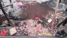 Limbah ikan dan daging sapi saat dibuang ke laut [Foto : sukarsi/kasedata]