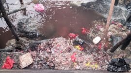 Limbah ikan dan daging sapi saat dibuang ke laut [Foto : Sukarsi/Kasedata]
