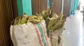 Jagung asal Tobole yang siap dijual oleh pedagang di Kota Ternate [Foto : sukarsi/kasedata]