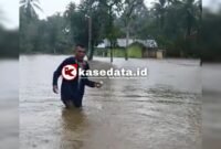Tinggi banjir di Desa Sumber Makmur terpantau setara paha orang dewasa [dok : ridal]