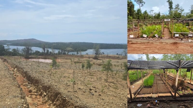 Program penghijauan oleh PT Smart Marsindo dengan melibatkan masyarakat Pulau Gebe