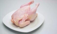 Ramadan, Harga Ayam di Halmahera Selatan Naik