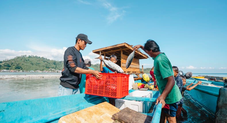 foto slider headline