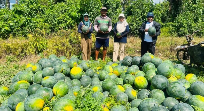 foto slider headline