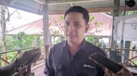 Account Representative Khusus (ARK) BPJS Ketenagakerjaan Ternate, Ricky Maulana