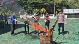 Pemusanahan barang bukti di halaman kantor Kejari Halsel [Foto : ridal/kasedata]