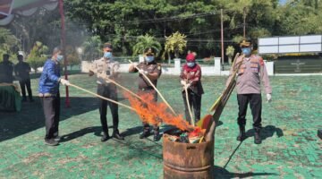 Pemusanahan barang bukti di halaman kantor Kejari Halsel [Foto : ridal/kasedata]