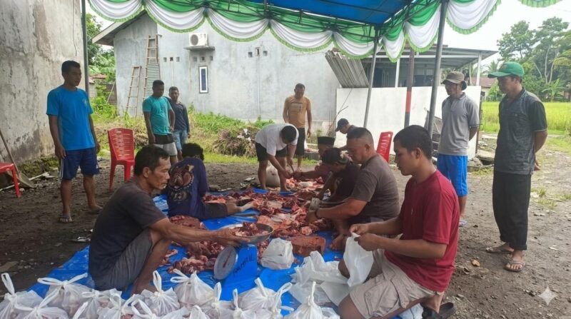 Suasana penuh kebersamaan dan semangat gotong royong mewarnai pelaksanaan penyembelihan hewan kurban di Masjid Ajir Tabi’in, Kelurahan Ngade RT 08, usai Sholat Idul Adha 1447 Hijriah. || dok : Kasedata
