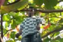 Korban saat ditemukan dalam kondisi gantung diri di sebuah pohon [Foto : istimewa]