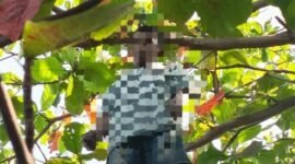 Korban saat ditemukan dalam kondisi gantung diri di sebuah pohon [Foto : istimewa]