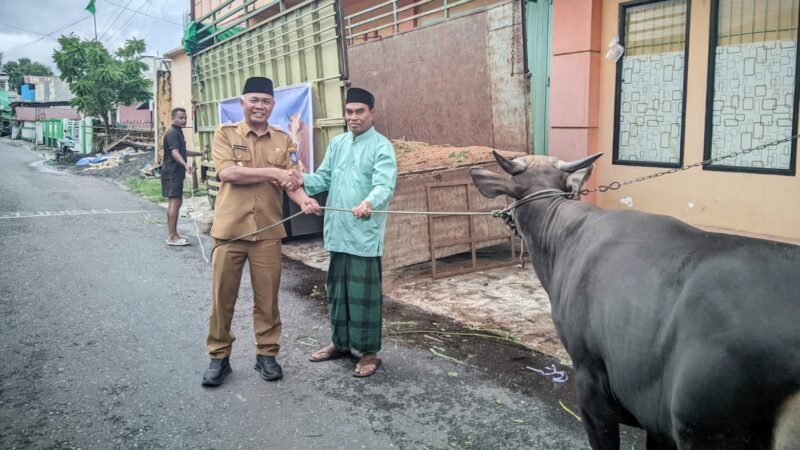 Nasri Abubakar saat menyalurkan salah satu hewan kurban kepada masyarkat yang menerima [Foto : sukarsi/kasedata]
