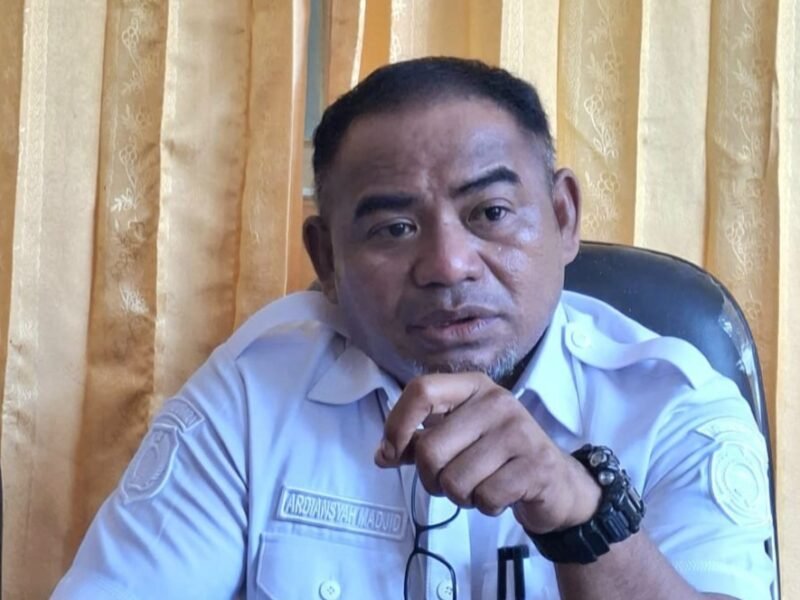 Plt Kepala Dinas Lingkungan Hidup (DLH) Kabupaten Halmahera Timur, Ardiansyah Madjid. || dok : Asrul/Kasedata