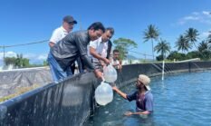 BUMDes Jiko Banau Halbar Tebar 200 Ribu Benur