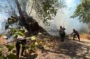 Karhutla yang terjadi di Kelurahan Tubo, Kota Ternate 