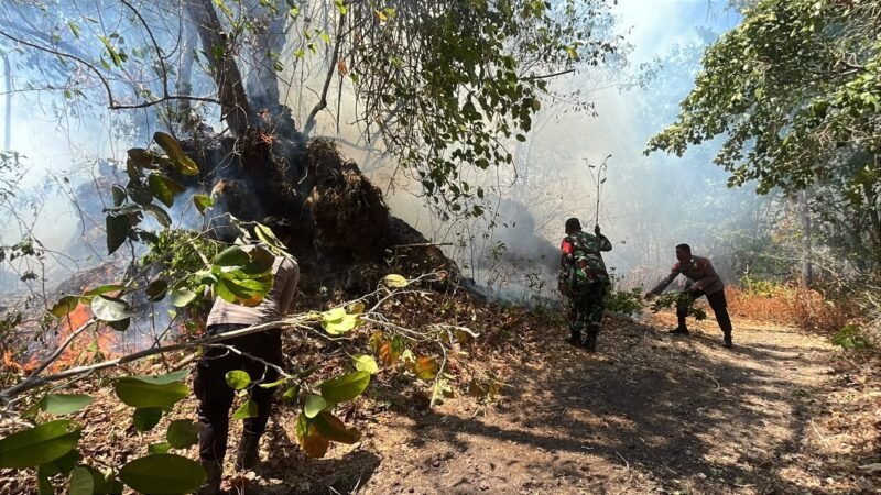 Karhutla yang terjadi di Kelurahan Tubo, Kota Ternate 