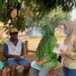 Hari kedua, NU dan Fatayat NU Maluku Utara kembali turun langsung membagikan masker kepada warga di Takome hingga Sulamadaha yang terdampak asap kebakaran. || Foto : Kasedata.id
