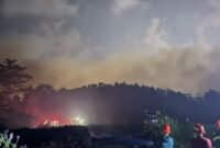 Upaya Bersama Pemdes dan Harita dalam Memadamkan Kebakaran di Desa Kawasi (Istimewa)