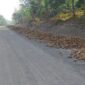 Pantauan pengerjaan jalan keliling Pulau Makean, terus dipacu. Hingga pekan ke-15, progres fisik proyek sepanjang 4,8 kilometer itu mencapai 37,39 persen. || Foto : Kasedata.id