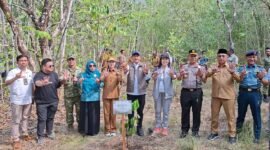 Gunernur Maluku Utara Sherly Tjoanda Laos bersama Wakil Menteri Kehutanan Rohmat Marzuki, Wakil Menteri PPPA Veronica Tan, Wali Kota Ternate, Kapolda dan Danramil 152/Baabullah usai melaksanakan kegiatan penanaman bibit pala di kawasan wisata hutan Pulo Tareba. || Foto : Kasedata.id