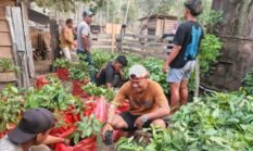 Dituding Tebang Pohon, CV AEMM Siapkan Reboisasi
