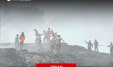 Potensi Masih Terbakar, Pemkot Ternate Perpanjang Tanggap Darurat TPA Takome