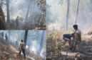 Kebakaran lahan yang melanda kawasan Taman Love, Kelurahan Moya