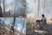 Kebakaran lahan yang melanda kawasan Taman Love, Kelurahan Moya