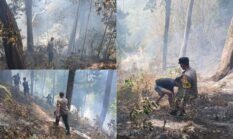 10 Hektare Lahan Moya Ternate Terbakar, Api Ancam Kebun Warga